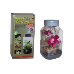 insecttarrium 5 litre de lucky reptile  (2174)