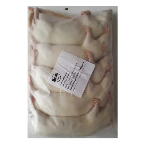Rat +150g (10415),Rat +150g (10416) Rat +150g (10415),Rat +150g (10416)