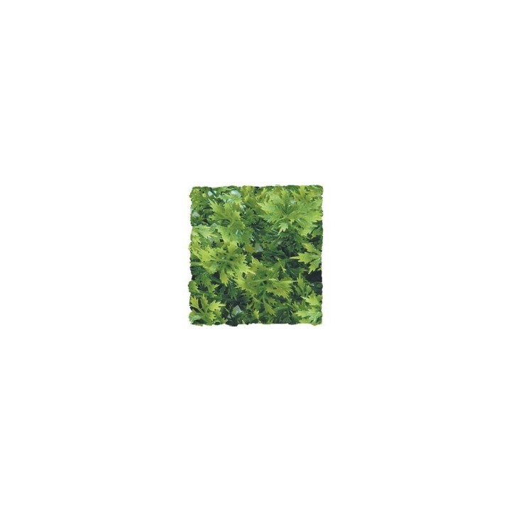 plantes artificielles zoomed medium de zoomed bu-20 (1683),plantes artificielles zoomed medium de zoomed bu-20 (1684),plantes ar