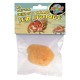 Hermit Crab Sea Sponge 
