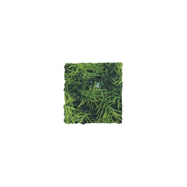 Plantes artificielles Medium Zoomed Plants  de la marque ZooMed_ref: BU-20