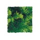 Plantes artificielles Medium Zoomed Plants  de la marque ZooMed_ref: BU-20