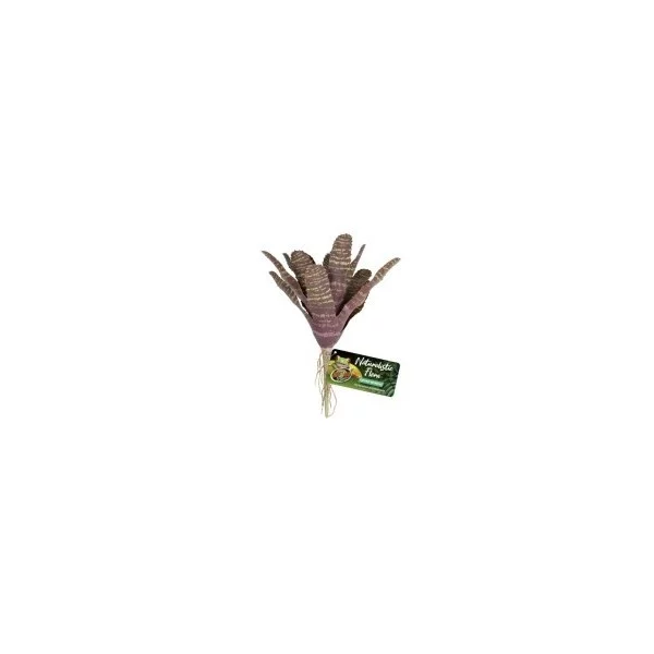 Plantes artificielles Chestnut Bromeliad de la marque ZooMed_ref: BU-61