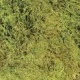 Mousses & Lichens New Zealand Moss (sphagnum moss) de la marque ZooMed_ref: CF2-NZE