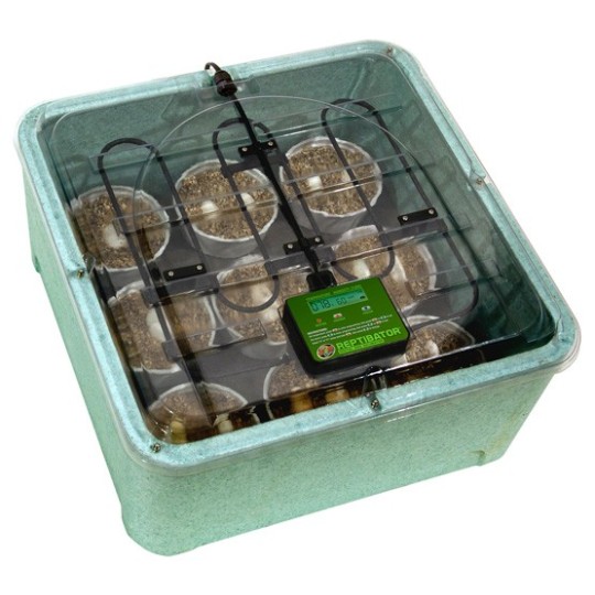 incubateur pour reptile reptibator de zoomed ri-10e