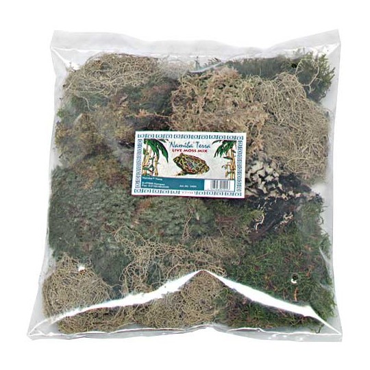 Mousses & Lichens Mélange de lichen & Mousse, sèche, 5 sortes, sac de 4 litre _ Namiba®  de la marque NAMIBA TERRA_ref: 1424