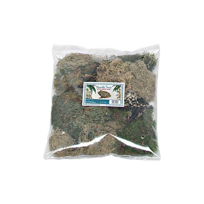 Namiba® Mélange de lichen & Mousse, sèche, 5 sortes, sac de 4 litre