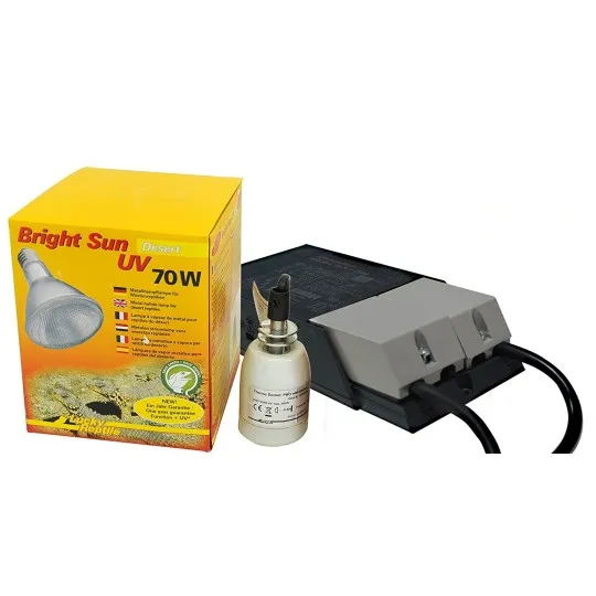 bright sun set desert de lucky reptile 