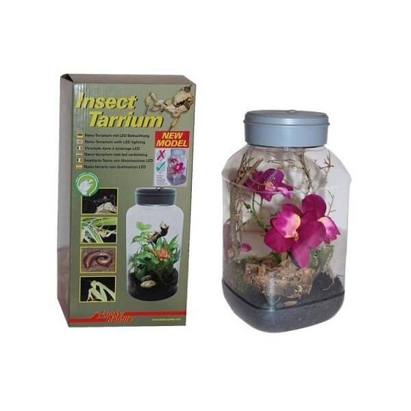 Terrariums & Accessoires InsectTarrium 5 litre _ Lucky Reptile de la marque Lucky reptile_ref: IT-5