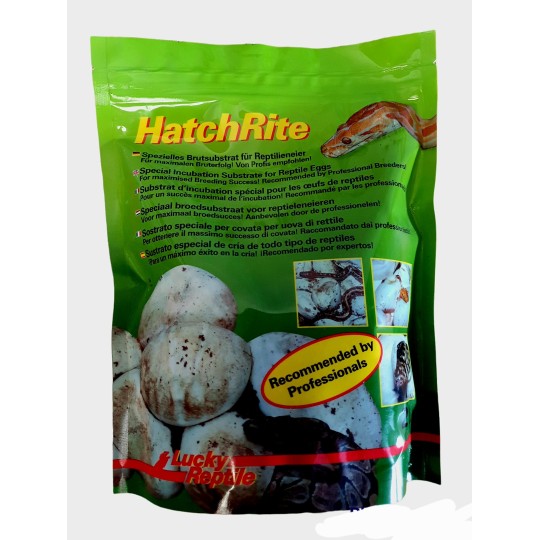 vermiculite pour incubation hatchrite de lucky reptile 