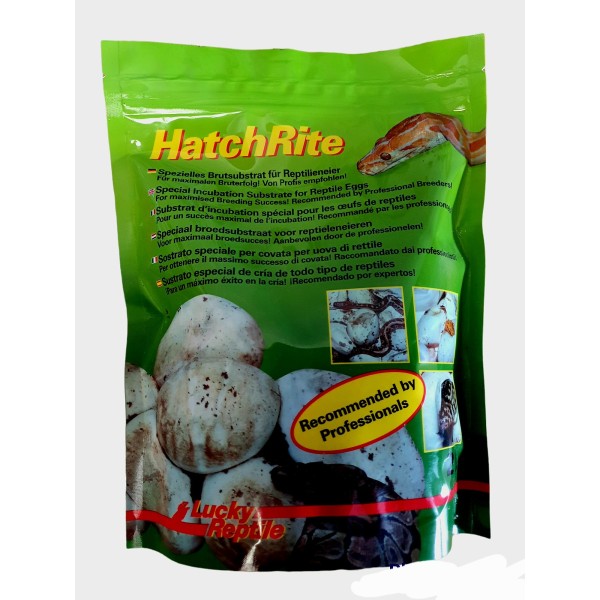 vermiculite pour incubation hatchrite de lucky reptile 