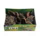 Mousses & Lichens Life Experience Deco Set Jungle _ Lucky Reptile de la marque Lucky reptile_ref: LDS-02