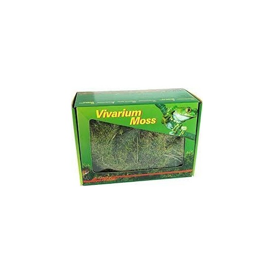 mousse pour terrarium vivarium moos 150 g de lucky reptile 