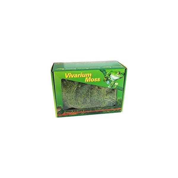 mousse pour terrarium vivarium moos 150 g de lucky reptile 
