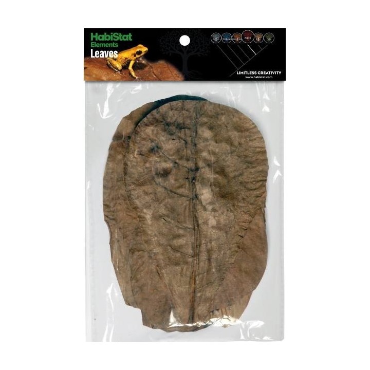 Feuille de CATAPPA x10 Habistat (4182)