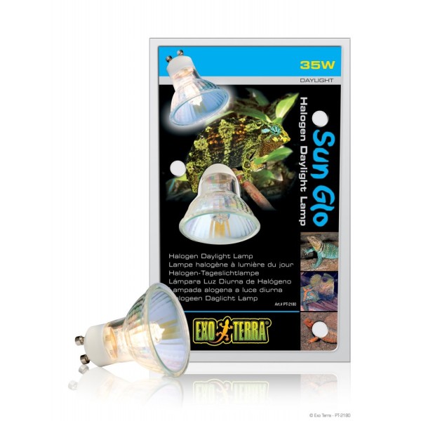 Ampoules chauffantes Sun Glo Halogen Daylight Lamp - UVA - 35W ExoTerra de la marque Exo-Terra_ref: PT2180