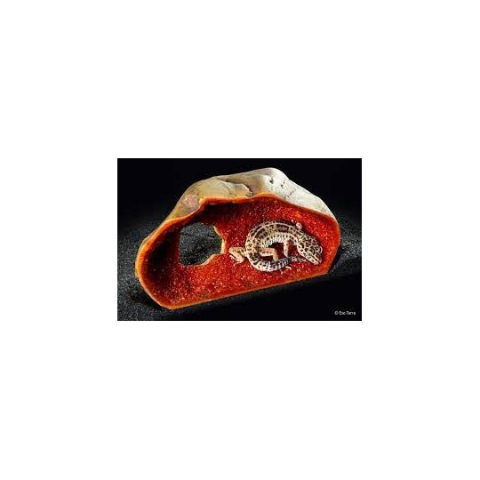 Faux rochers & Racines Crystal Cave - Decorative Reptile Hide - Medium _ ExoTerra de la marque Exo-Terra_ref: PT2867