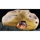 Faux rochers & Racines Crystal Cave - Decorative Reptile Hide - Medium _ ExoTerra de la marque Exo-Terra_ref: PT2867