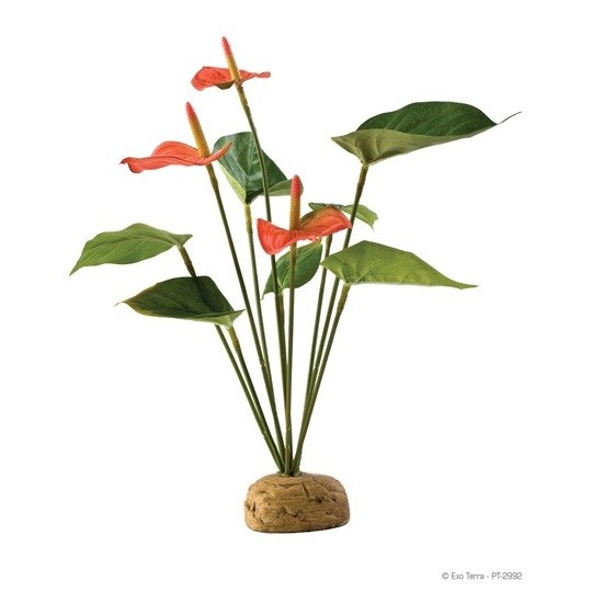 Plantes artificielles Anthurium Bush _ ExoTerra de la marque Exo-Terra_ref: PT2992