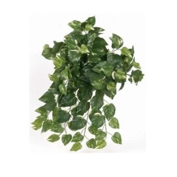 Plantes artificielles_Plante artificielle pour terrarium Mini Pothos_Euro-zoo_KP10148