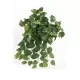 Plantes artificielles_Plante artificielle pour terrarium Mini Pothos_Euro-zoo_KP10148