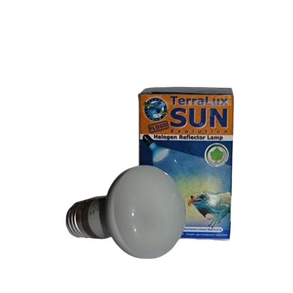 Lampe chauffante Ampoule chauffante Sun evolution floodEuro-zoo pour reptile en terrarium