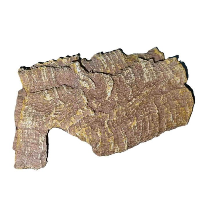 Cachette imitation Bois pour reptileDimension:medium 19x14x15cmC1WL