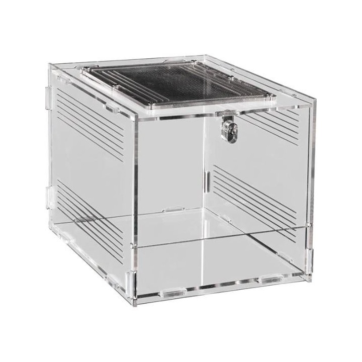 insectarium en acrylique repto terra clear 20x15x15 de repto r1100765 (3630),terrarium en acrylique repto terra clear 20x15x15 d