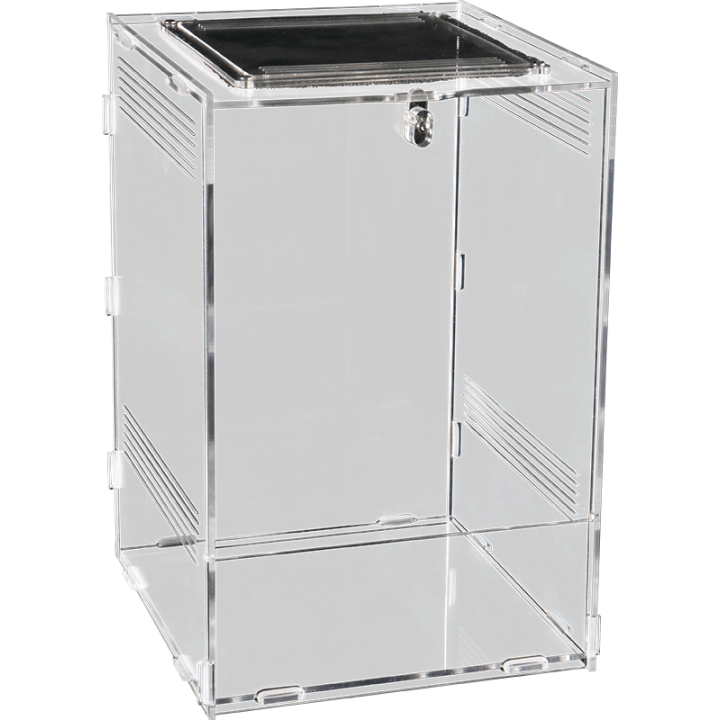 insectarium en acrylique repto terra clear 20x15x15 de repto r1100765 (3630),terrarium en acrylique repto terra clear 20x15x15 d