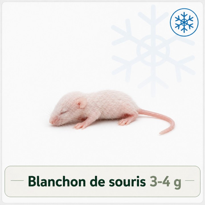 Blanchon de souris 3-4g congelé pour reptiles - VentreaTerre