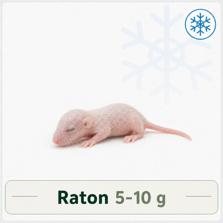 Rosés de rats congelés congelé pour reptiles - VentreaTerre