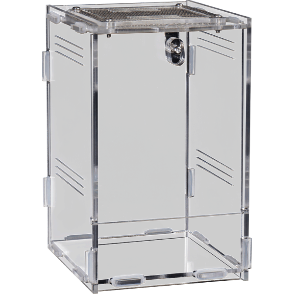 petit insectarium repto terra clear 12x10x17 de repto r1100750