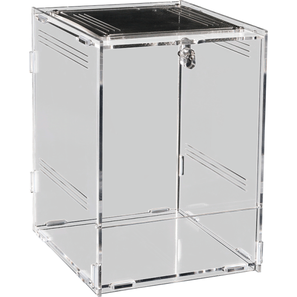 insectarium arboricole repto terra clear 12x10x17 de repto r1100750