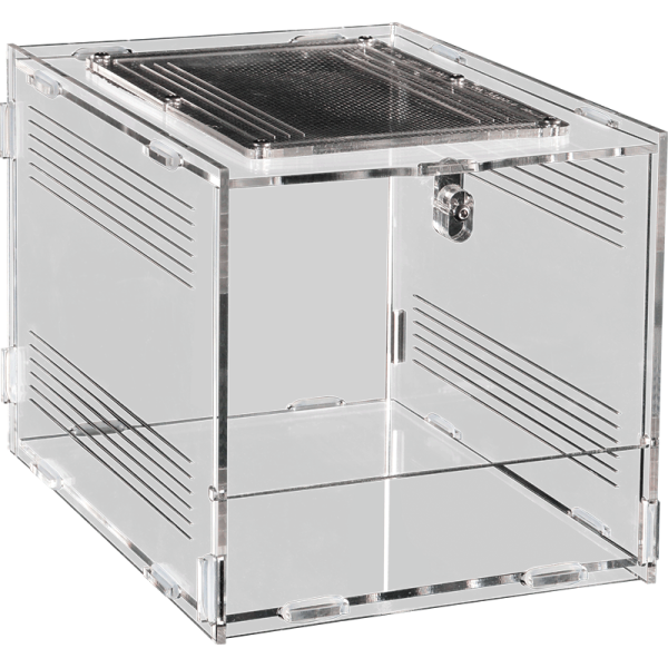 petit terrarium en hauteur repto terra clear 12x10x17 de repto r1100750