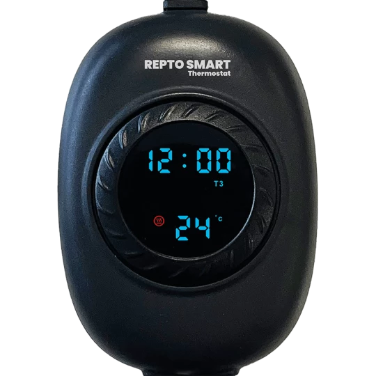 Thermostat Intelligent programmable REPTO SMART