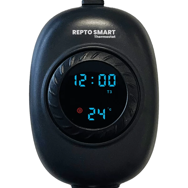 Thermostat Dimming Intelligent programmable REPTO SMART_