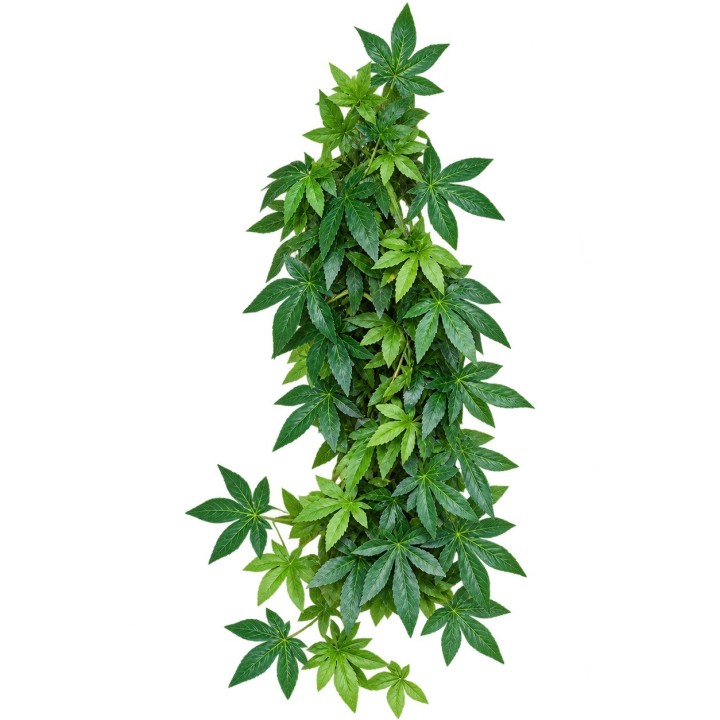 Plante artificielle Abutilon EuroZoo 30 cm pour terrarium