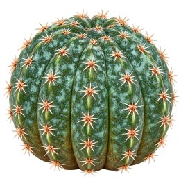 Faux Cactus Melon  7,5 cm