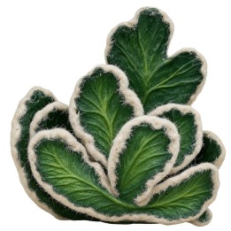 Cactus en feuille