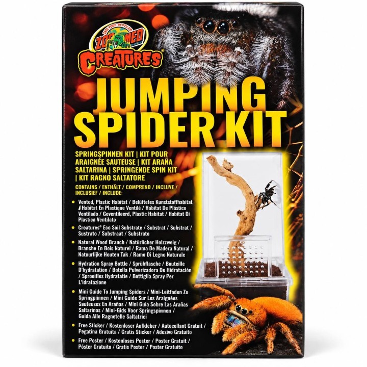 Kit araignée sauteuse Zoo Med Creatures Jumping Spider Kit complet