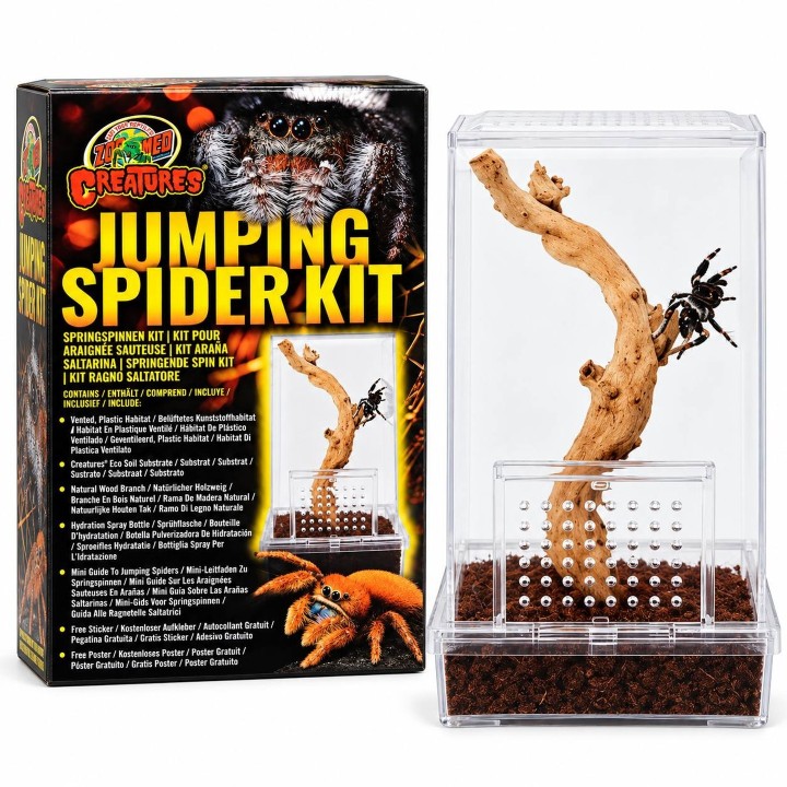 Contenu du Zoo Med Creatures Jumping Spider Kit avec habitat complet pour araignée sauteuse