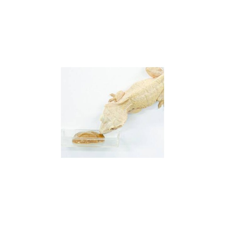 nourriture pour correlophus hikari crestgel 50g de hikari reptile a3020615 (3235),hikari crestgel 50g de hikari reptile a3020615