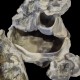 cascade pour terrarium effet granite taille m de euro-zoo e10119