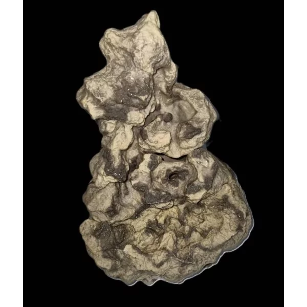 cascade pour terrarium effet gres taille m de euro-zoo e10118