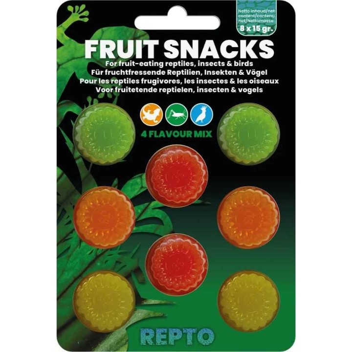Jelly pour gecko Repto fruit Snacks – Miel