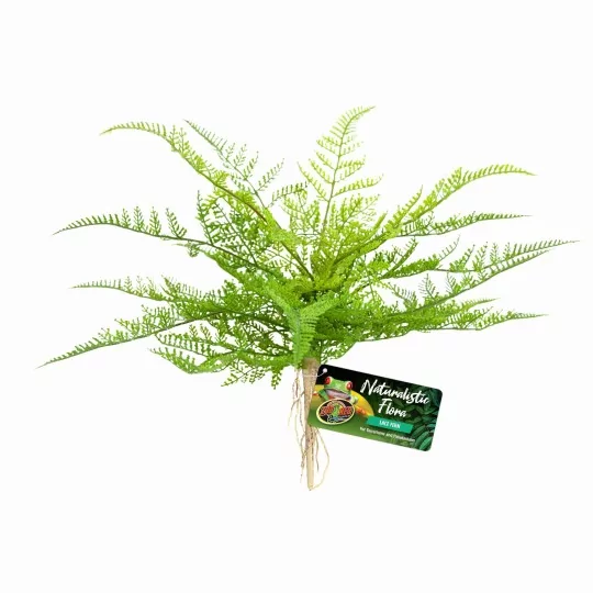 Plantes artificielles_Lace Fern_Zoo-med_BU-62