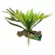 Plantes artificielles_Staghorn Fern_Zoo-med_BU-65