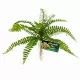 Plantes artificielles_Sword Gern_Zoo-med_BU-63