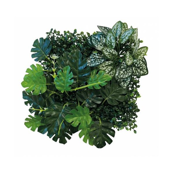 Fond de terrarium imitation plantes 25X25 cm