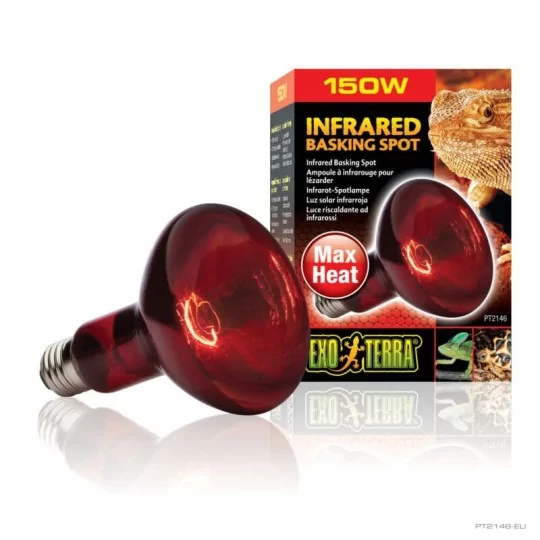 Lampe chauffante Infrared Basking Spot 150W Exo-terra pour reptile en terrarium